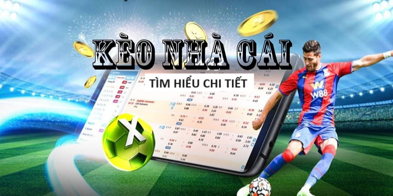 Tìm Hiểu Về Game Bắn Cá Đổi Thưởng Wild.io Tìm Hiểu Về Game Bắn Cá Đổi Thưởng Wild.io